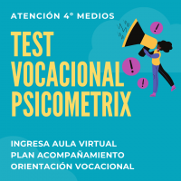 Fundación Implementa Test Vocacional 4° E.M